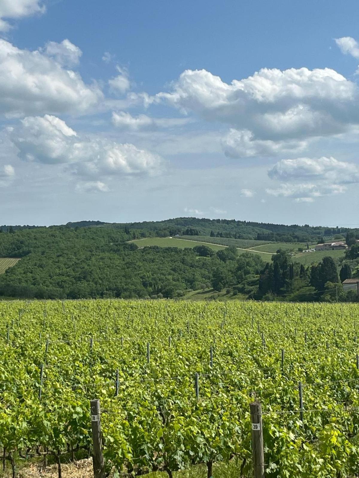 Casa Galletti San Donato in Poggio Εξωτερικό φωτογραφία